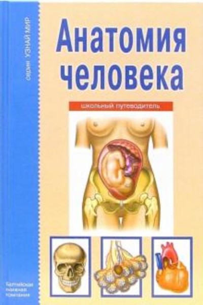 Сергей Афонькин: Анатомия человека