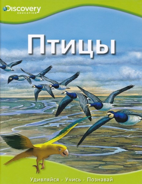 Птицы. Discovery