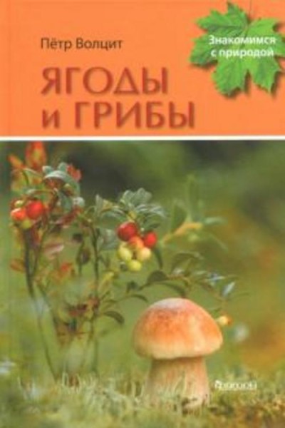 Петр Волцит: Ягоды и грибы