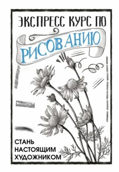 Мистер Грей: Экспресс курс по рисованию. Стань настоящим художником