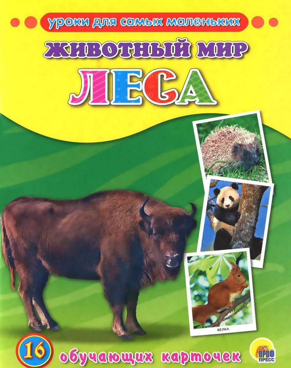 Книга рисование для детей. Обучающие карточки животный мир. Книги для детей 3-4 лет. Рисование. Математика для самых маленьких.