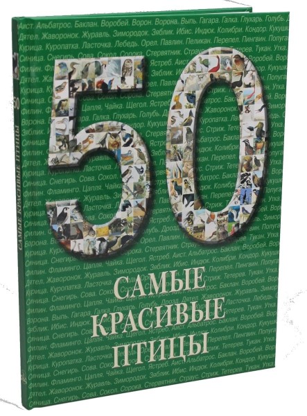 50.Самые красивые птицы