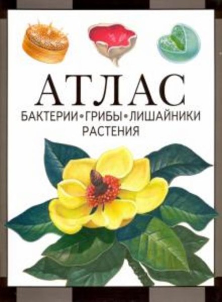Иван Черепанов: Атлас. Бактерии, грибы, лишайники, растения